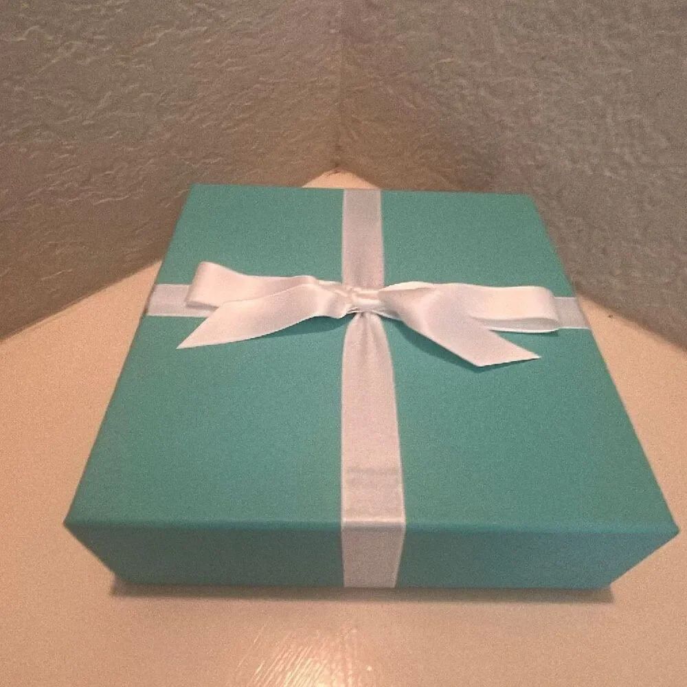 Tiffany & Co Iconic Blue Gift Box White Bow Storage Luxury Display Decor